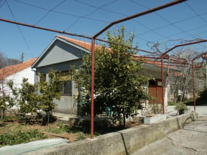 Apartments with a parking space Sveti Filip i Jakov, Biograd - 850